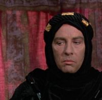 Робин из Шервуда (1984)