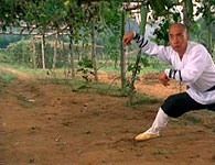 Храм Шаолинь 3: Боевые искусства Шаолиня (1985)